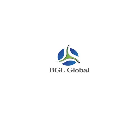 Logo de BGL BORN GROUP GLOBAL DE VENEZUELA