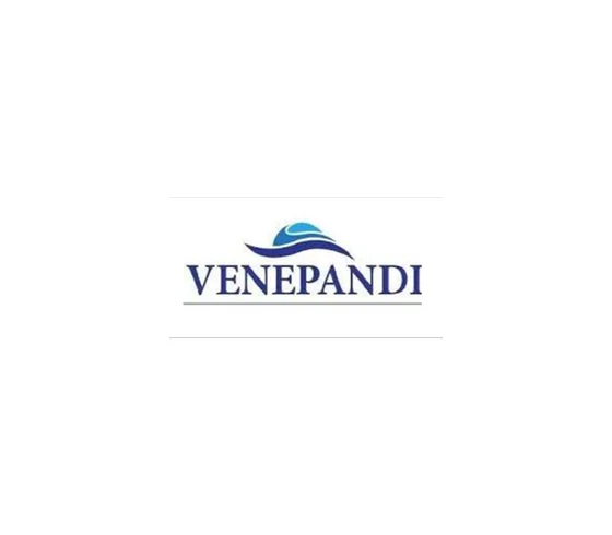 Logo de VENEPANDI C.A.